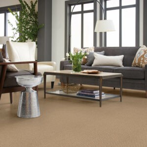 Living room Carpet flooring | CarpetsPlus COLORTILE & Wholesale Flooring