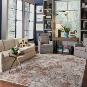 Living room Area rug | CarpetsPlus COLORTILE & Wholesale Flooring