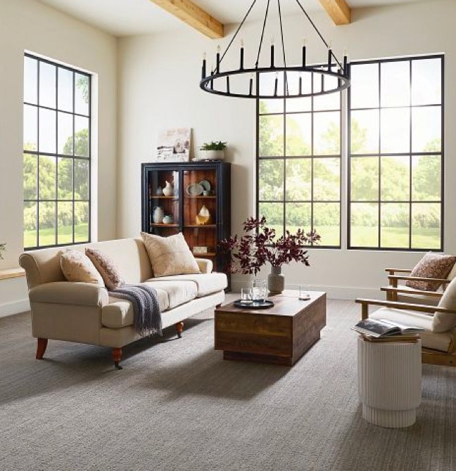 Living room Carpet | CarpetsPlus COLORTILE & Wholesale Flooring