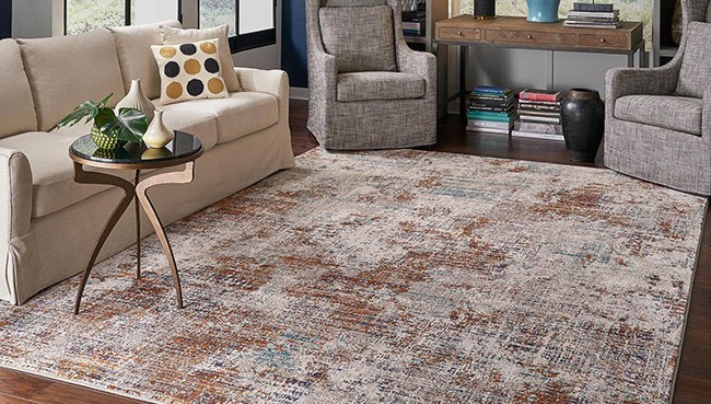Area Rug for living room |   CarpetsPlus COLORTILE & Wholesale Flooring 
