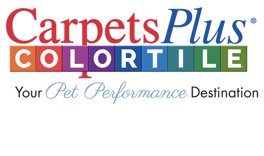 Carpetsplus colortile your pet performance destination