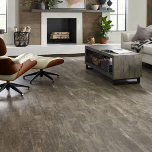 Vinyl flooring for living room | CarpetsPlus COLORTILE & Wholesale Flooring
