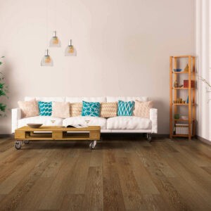 Vinyl flooring for living room | CarpetsPlus COLORTILE & Wholesale Flooring