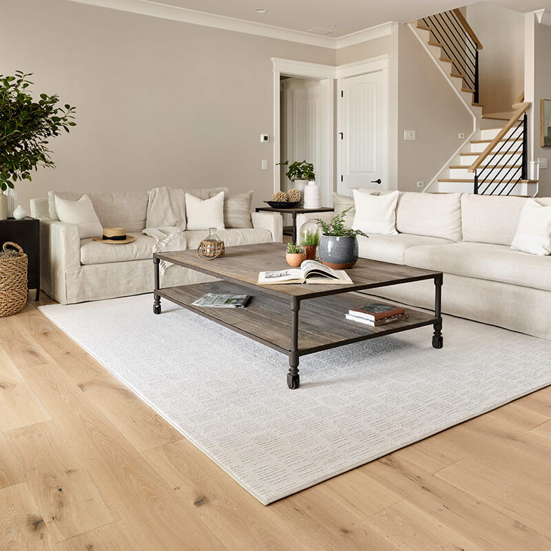 Area Rug | CarpetsPlus COLORTILE & Wholesale Flooring